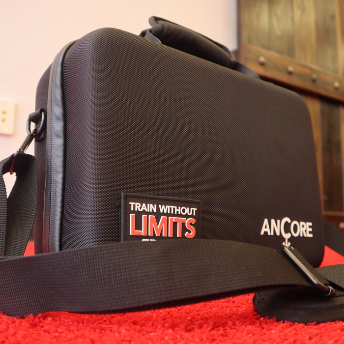 Ancore Carrying Case