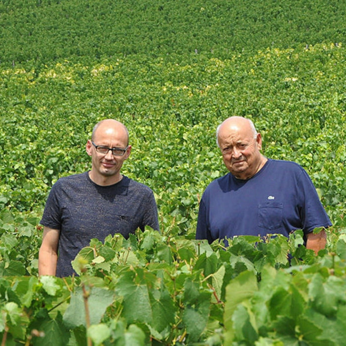 Domaine Christian Moreau, Chablis 2024
