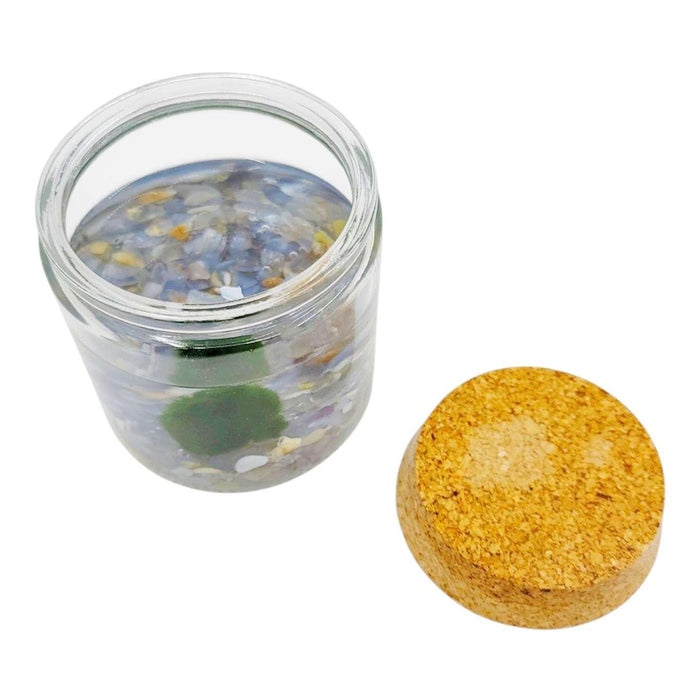 Plant Friend - Marimo Moss Ball (Blue Chalcedony) by The Handmade Showroom