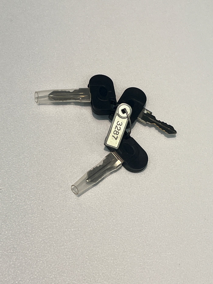 Replacement Keys for eZee bike (set of 2)