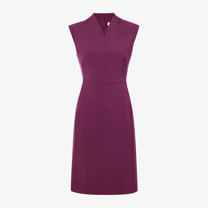 packshot image of the aditi dress in plumberry