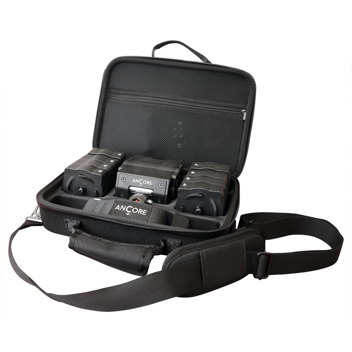 Ancore Carrying Case