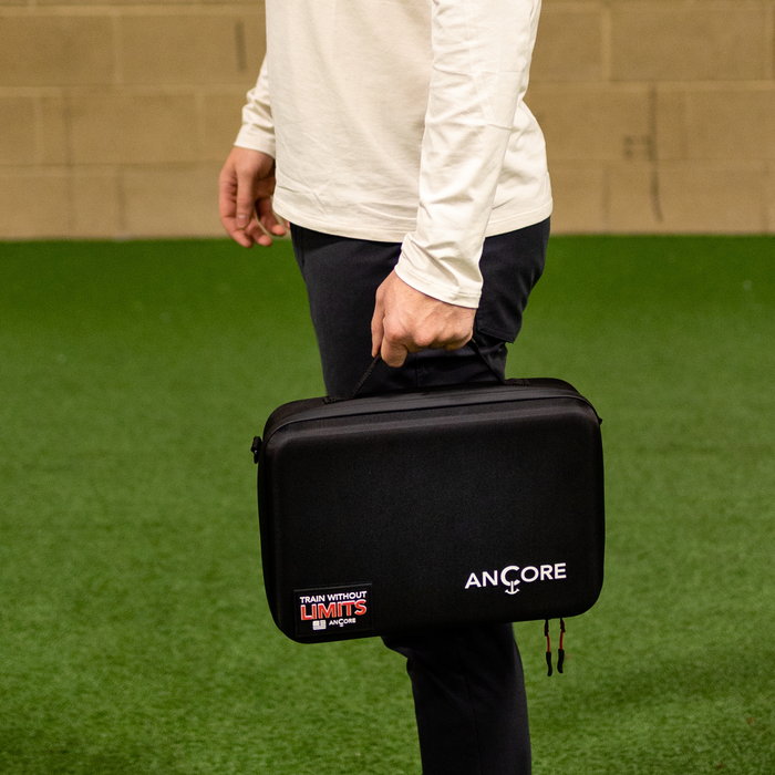 Ancore Carrying Case