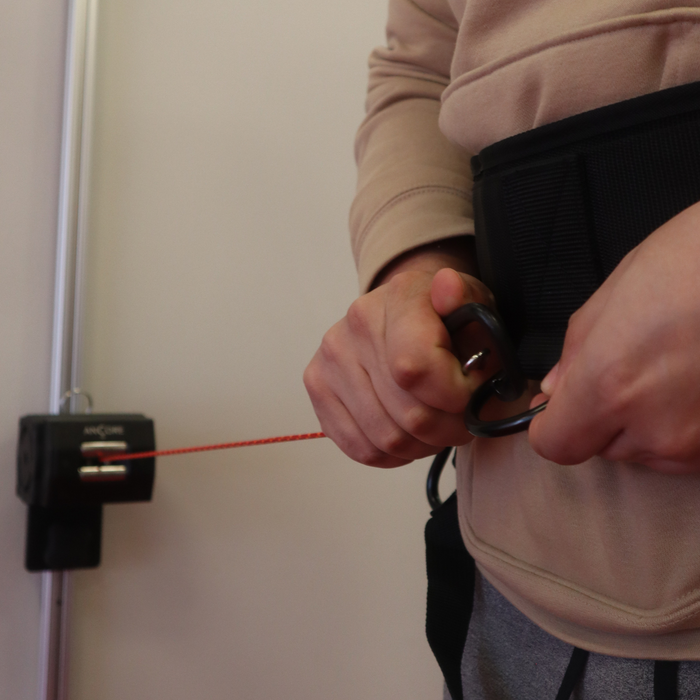 Ancore Waist Belt