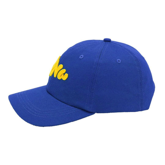 Baseball Cap - PNW Hat (Teal or Royal Blue) by Factory 43