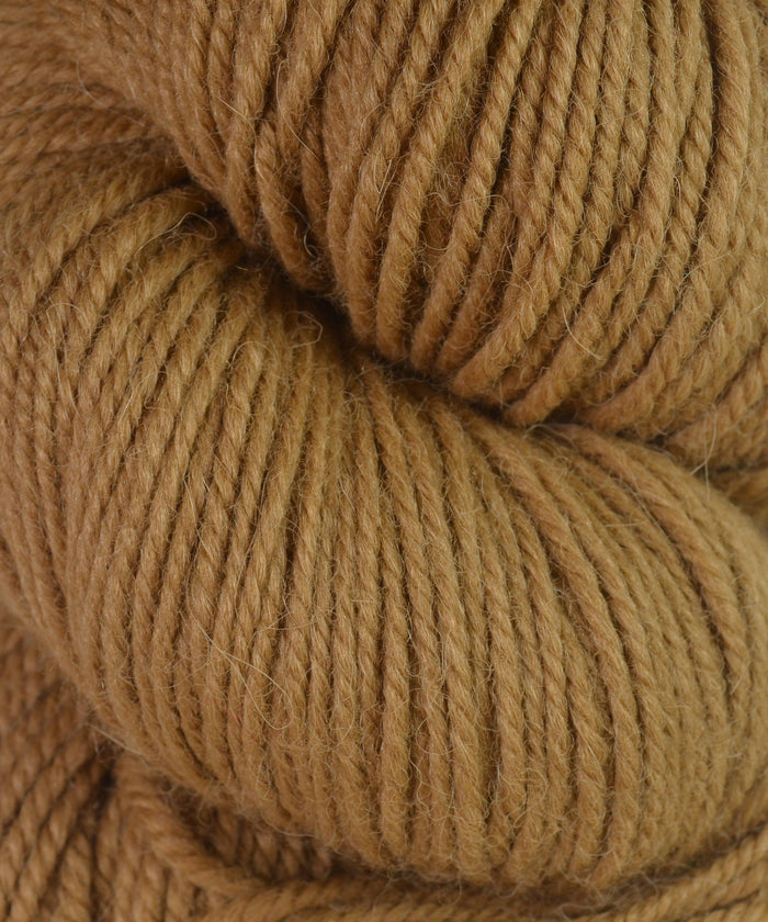 62102 Caramel