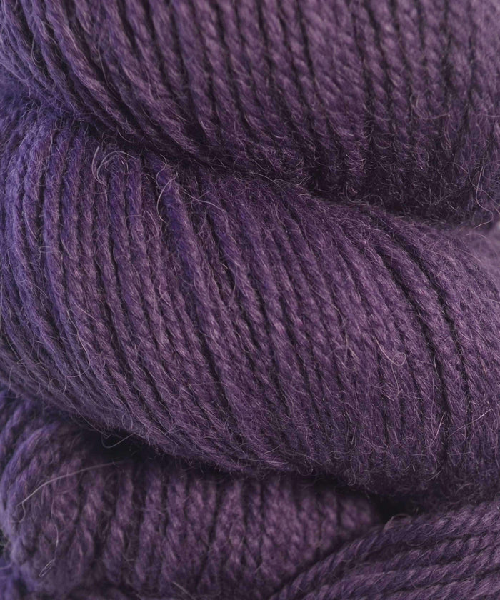 62105 Eggplant