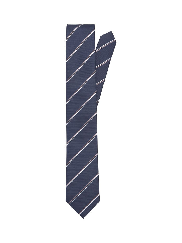 Blue Striped Tie