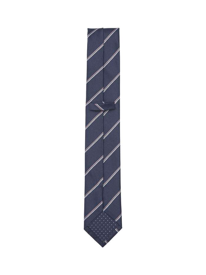 Blue Striped Tie
