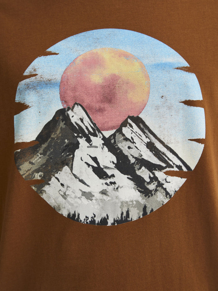 Brown Graphic Print Crew Neck T-Shirt