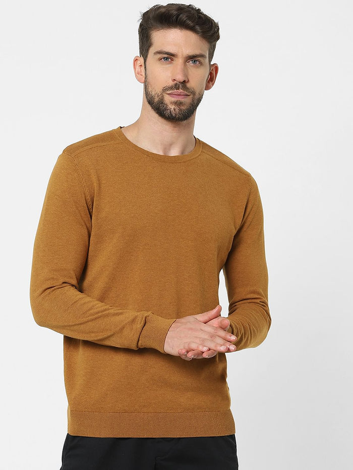 Brown Pullover