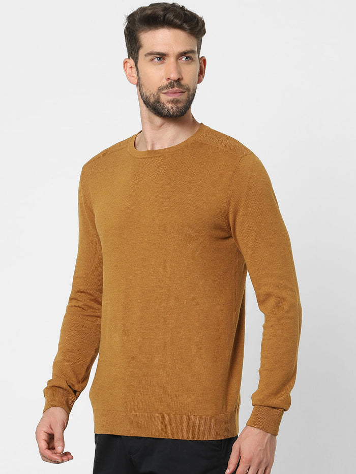Brown Pullover