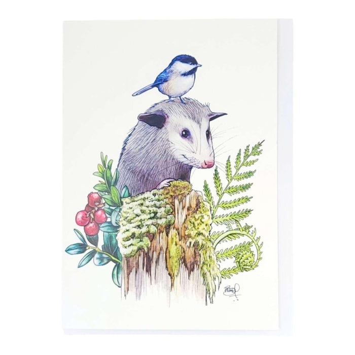 Card - All Occasion - Possum and Chickadee (Awesome Possum) by Shawn Braley