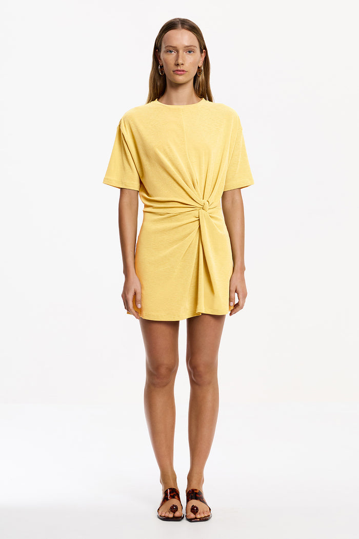 Carrey Mini Dress