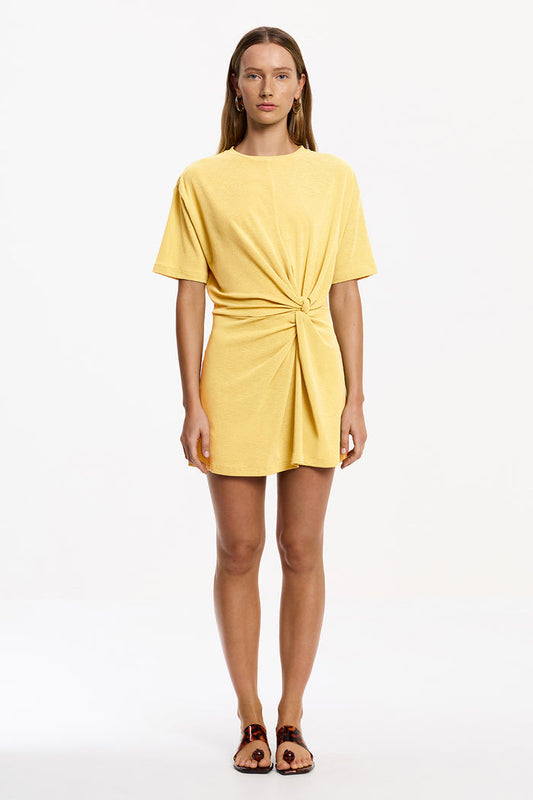 Carrey Mini Dress