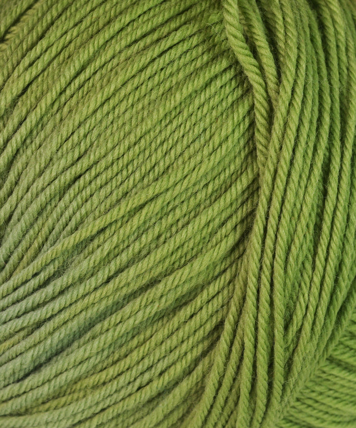 Cascade 220® Superwash Yarn-Yarn-Cascade Yarn-841 Moss-Alpaca Direct