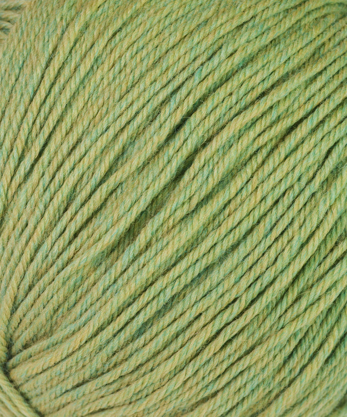 Cascade 220® Superwash Yarn-Yarn-Cascade Yarn-905 Celery-Alpaca Direct