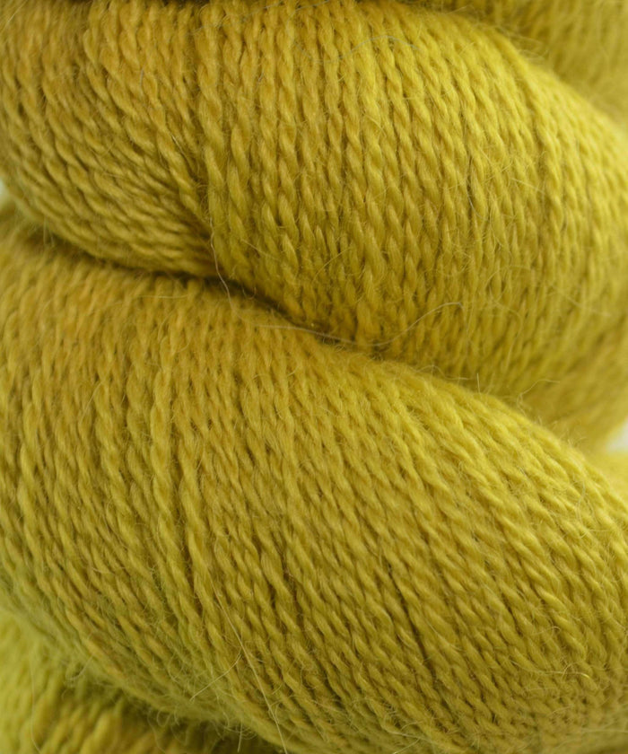1440 Antique Moss
