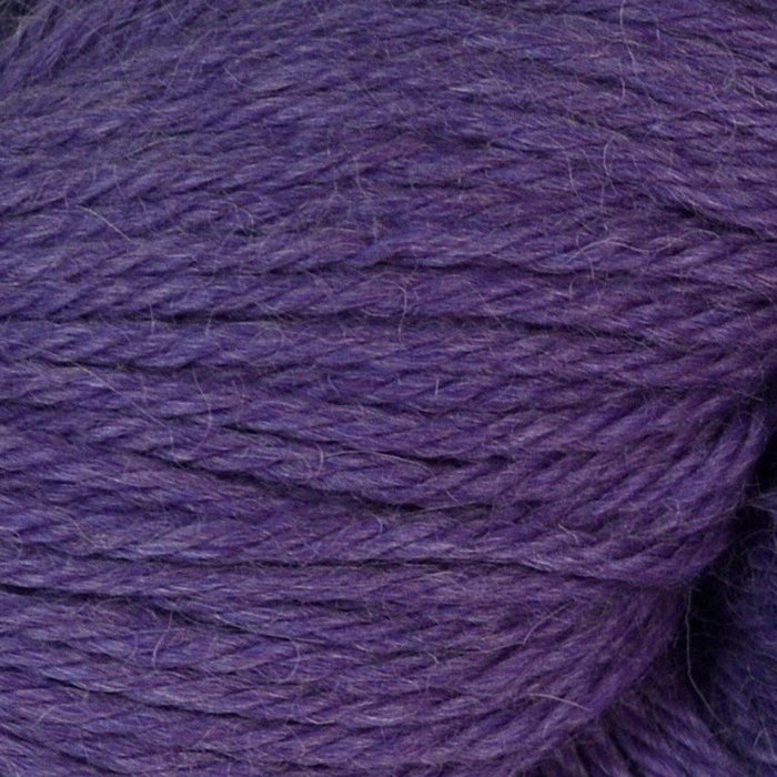 #3081 Violet Heather