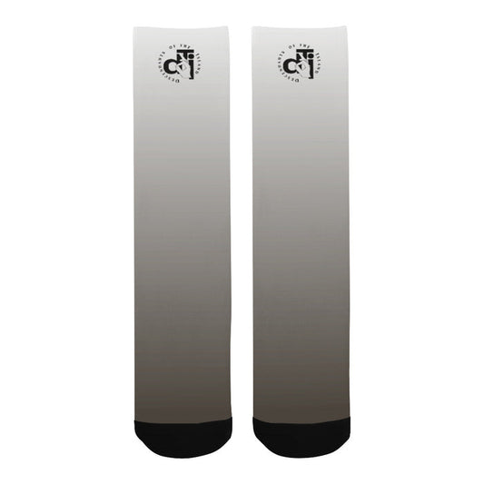 Descendants of The Island fog socks Men's Custom Socks