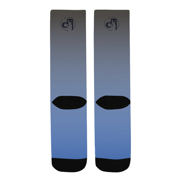 Descendants of The Island Mako Socks