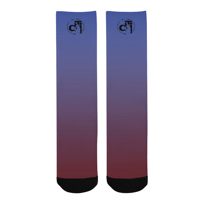 Descendants of The Island Sullivan Socks
