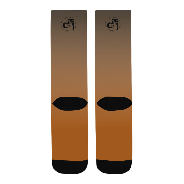 Descendants of The Island Tenne Socks