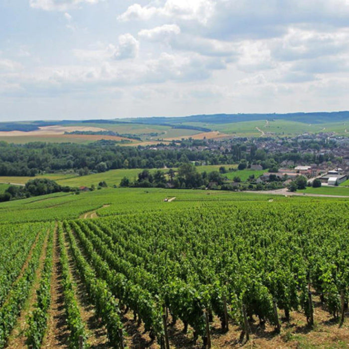Domaine Christian Moreau, Chablis 2024