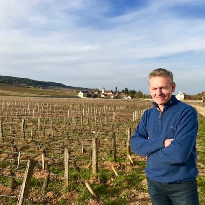 Domaine Remi Jeanniard, Morey-St-Denis Vielles Vignes 2024