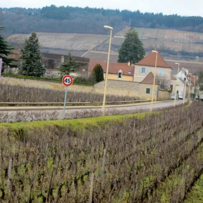 Domaine Remi Jeanniard, Morey-St-Denis Vielles Vignes 2024