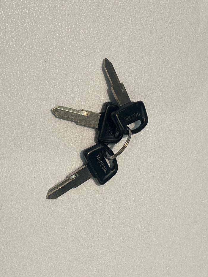 Ezee blank keys