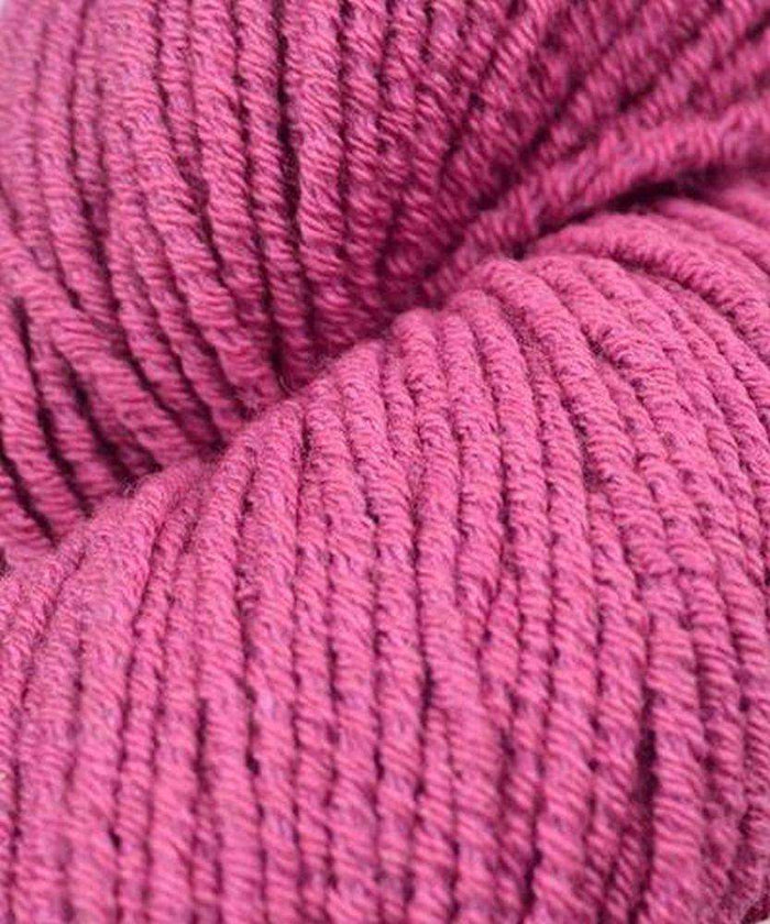 14 Framboise