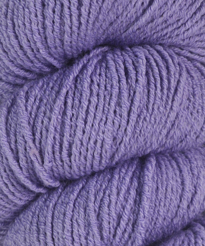 013 Violette