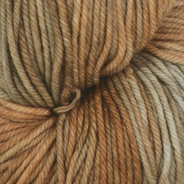 208 Camel