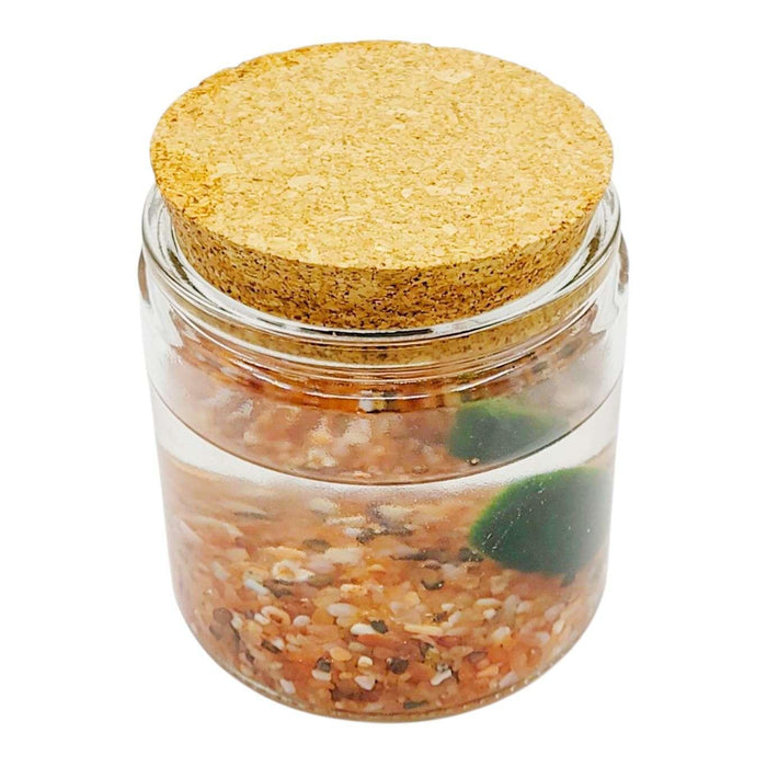 Plant Friend - Marimo Moss Ball (Carnelian) by The Handmade Showroom
