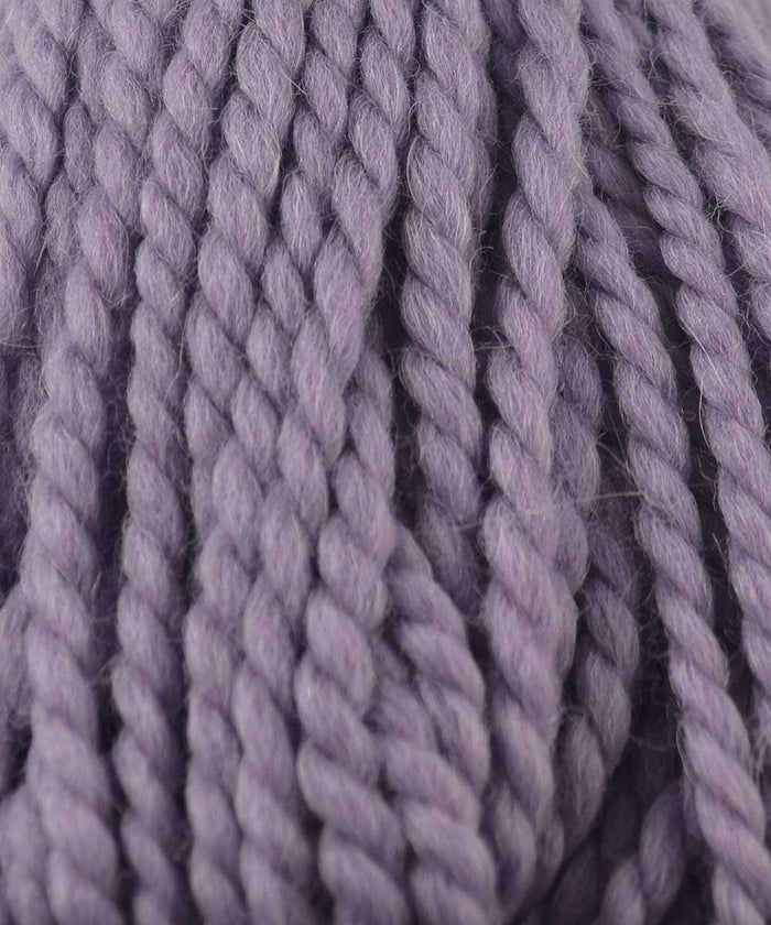 503 Wisteria