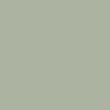 Minty green color swatch | Swatch | Exclude