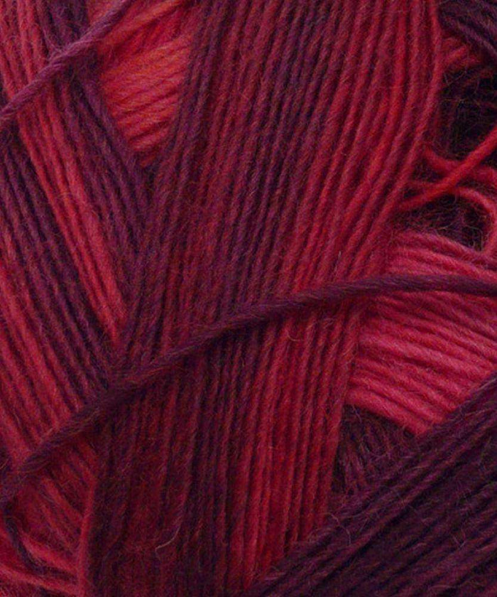 Schoppel-Wolle Zauberball-Yarn-Schoppel-Wolle-Alpaca Direct