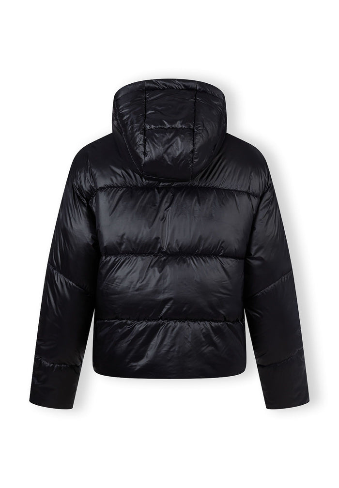 Back view of a women's short insulated hooded jacket in black with curved stitched detailing.