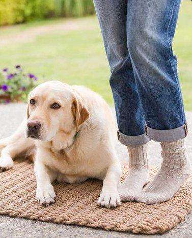 Simple Toe-Up Sock by Churchmouse Yarns and Teas-Patterns-Churchmouse Yarns-Alpaca Direct