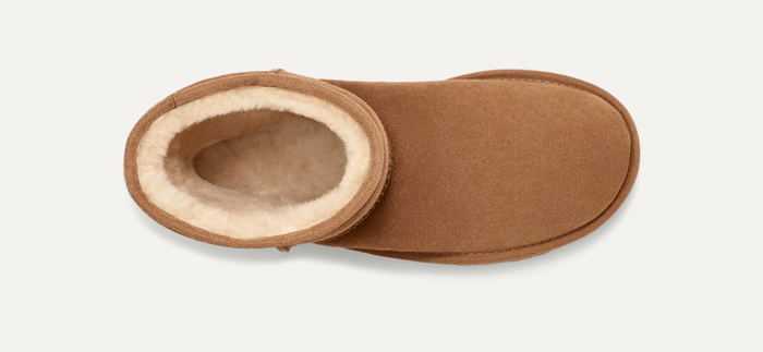 Ugg - Women's Classic Short II - Chestnut - Clique Apparel
